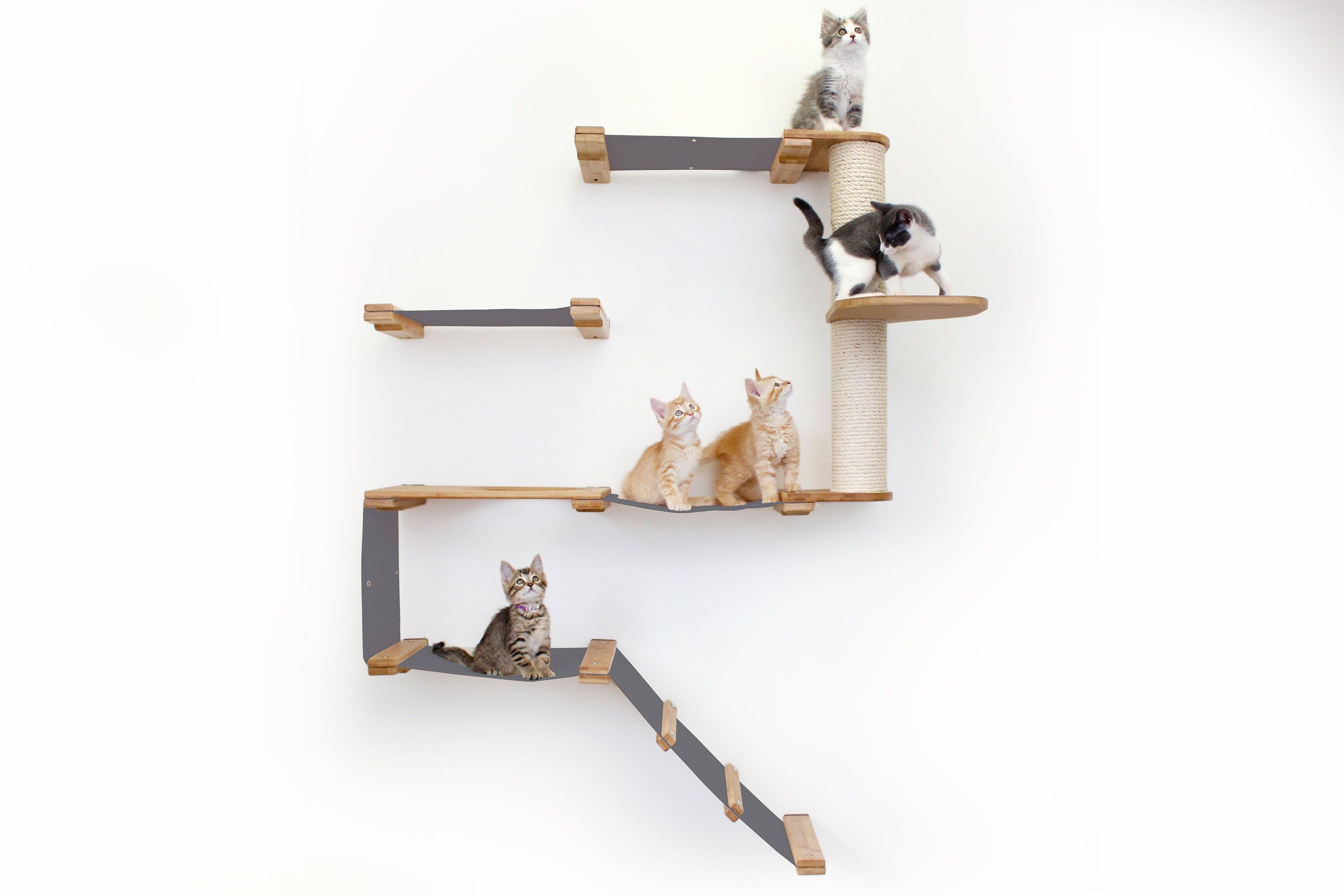 The Deluxe Cat Fort - Modern Cat Condo