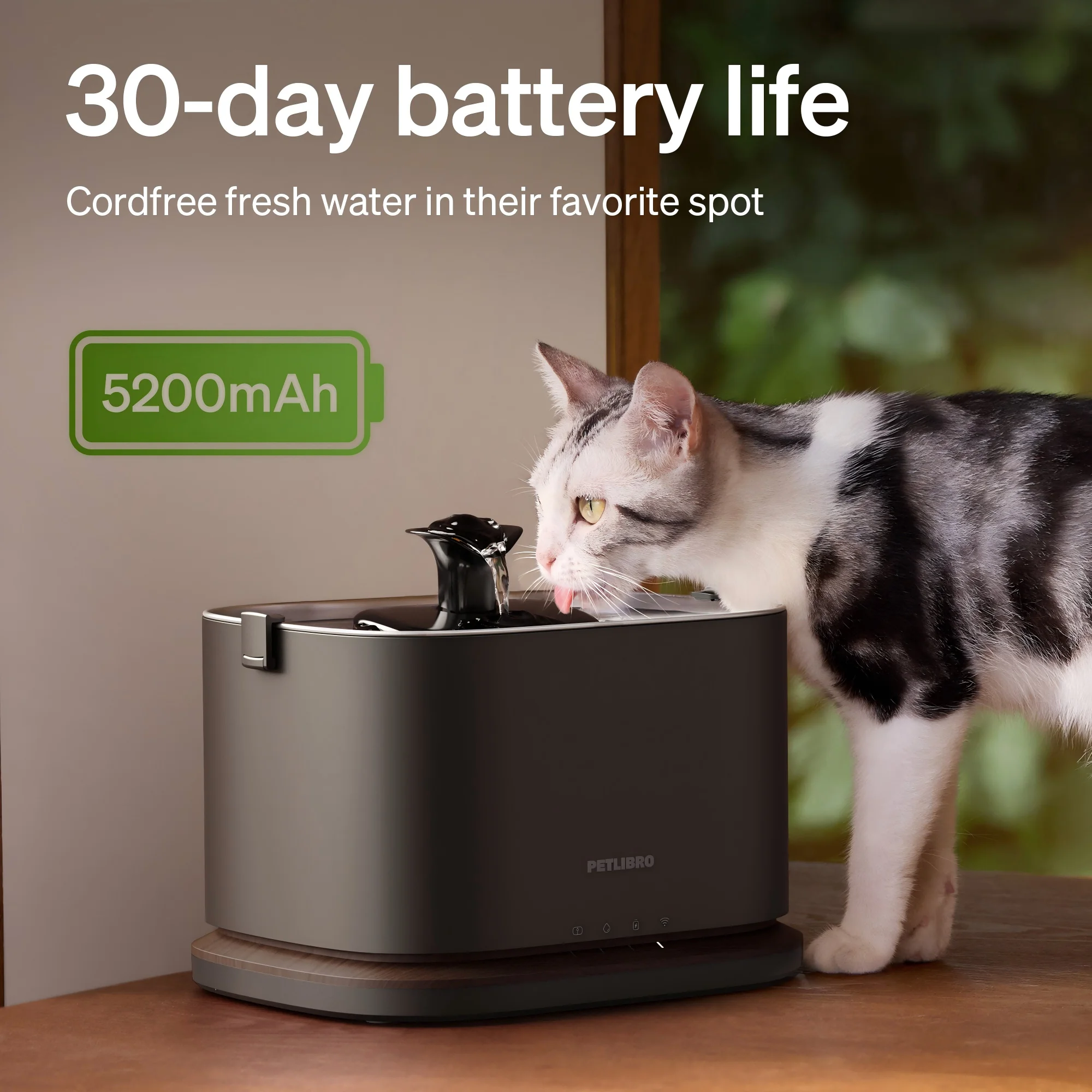 Smart Cordless Pet Water Fountain with App Monitoring