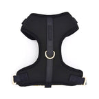 Fur Elise Essentials Walk Set - Noir