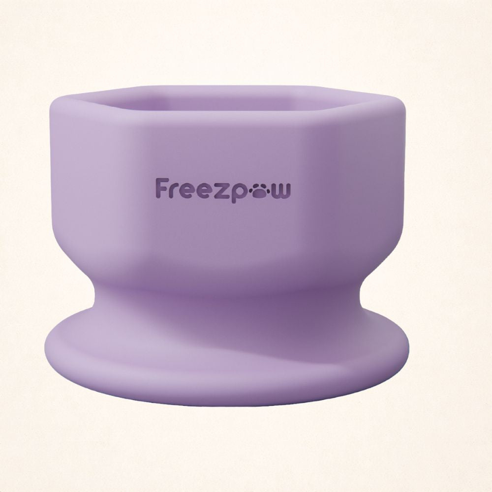 FreezSip Cat Fun Toy