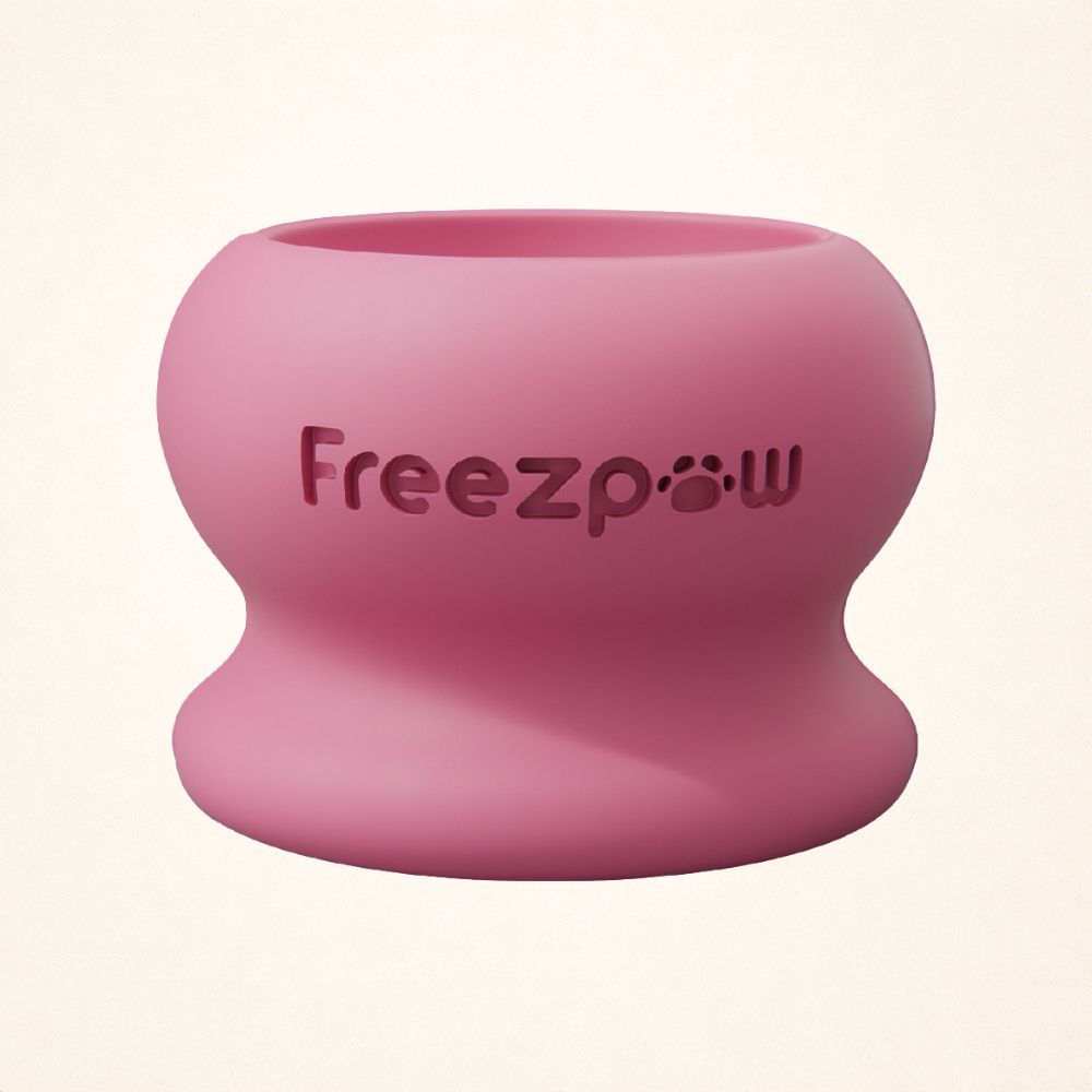 FreezPounce Cat Durable Fillable