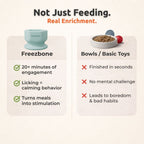 FreezSip Cat Fun Toy
