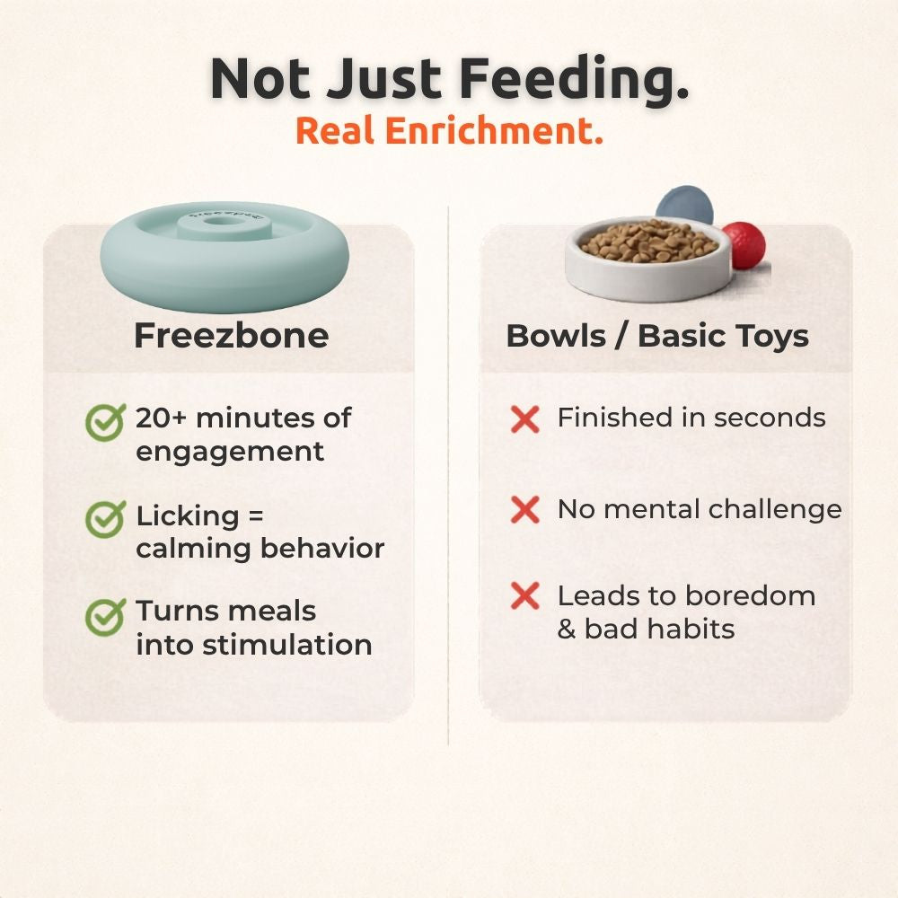 FreezRing Cat Zen Relief Toy