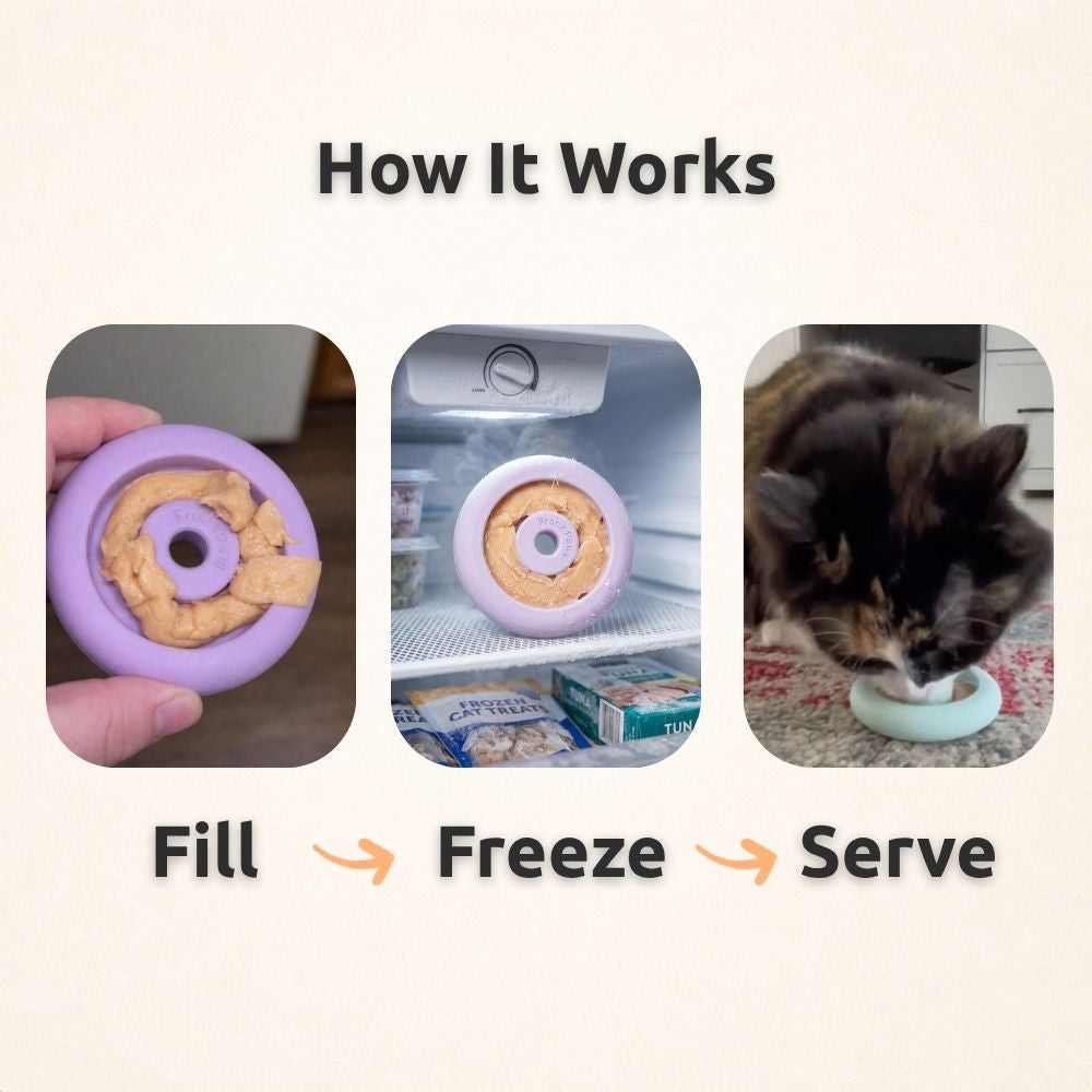 FreezRing Cat Zen Relief Toy