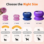 FreezBall Bundle — Best value on the most-loved bones