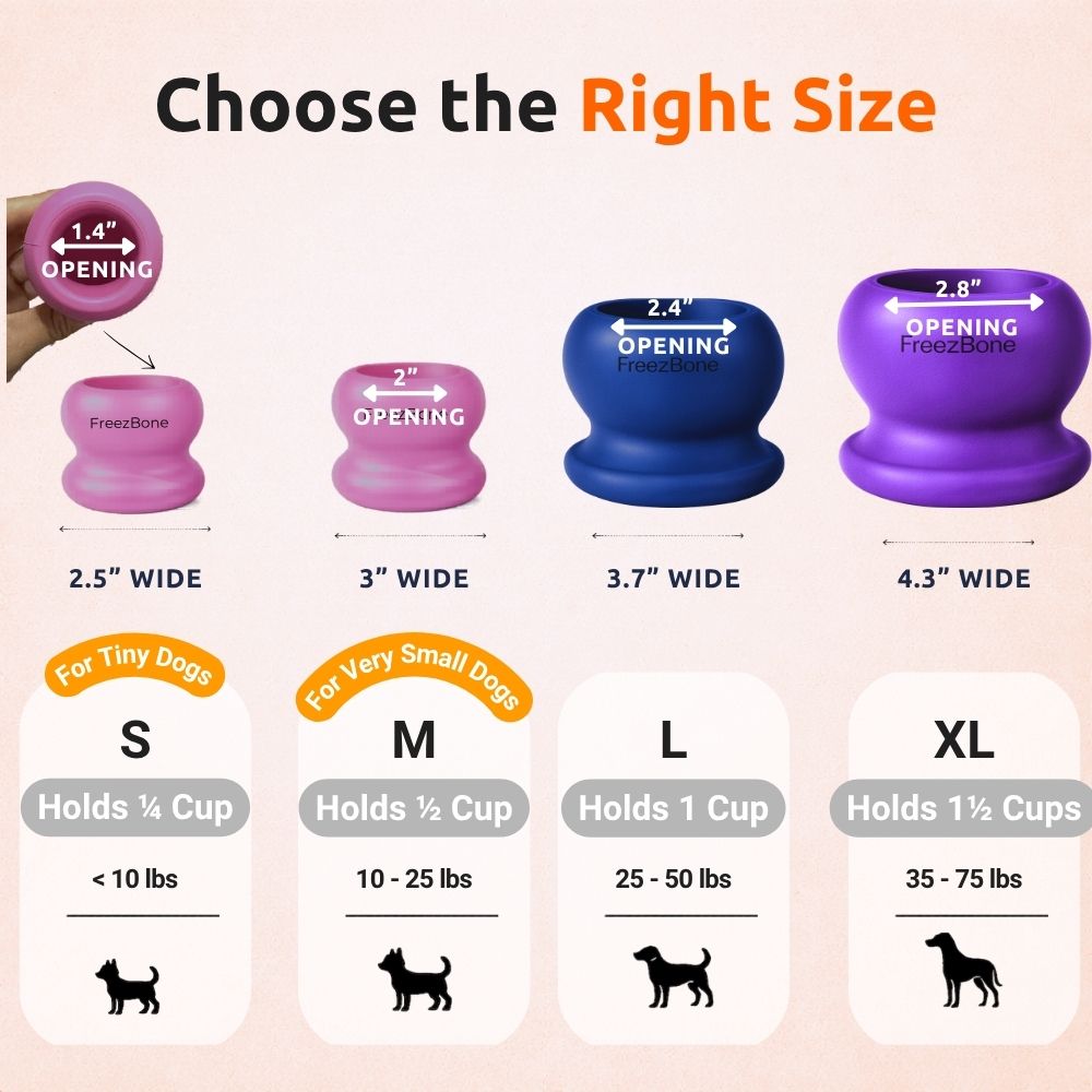 FreezBall Bundle — Best value on the most-loved bones
