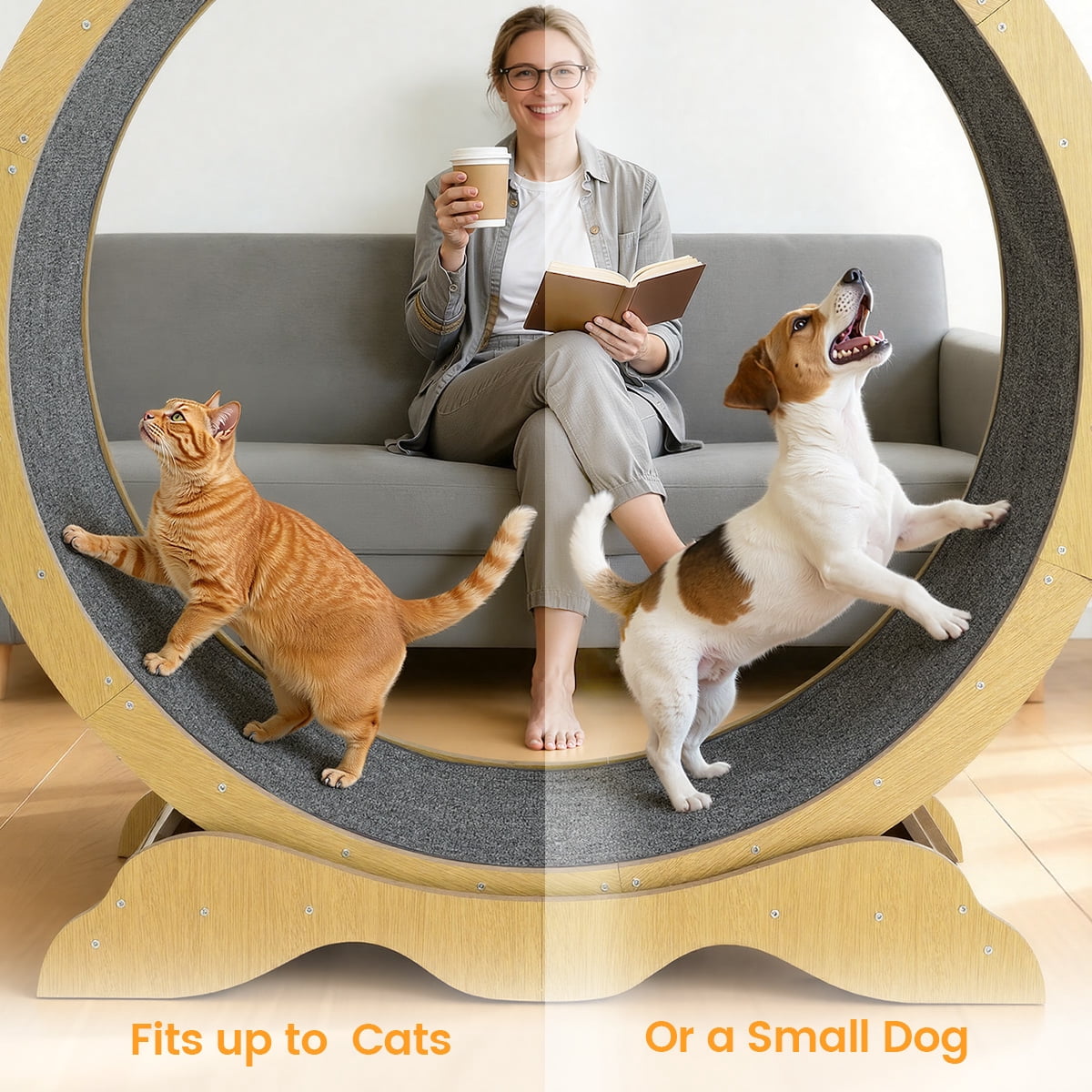 Silent Wooden Cat Running Wheel