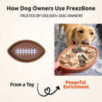 FreezFootball | Tough Enrichment Football Toy