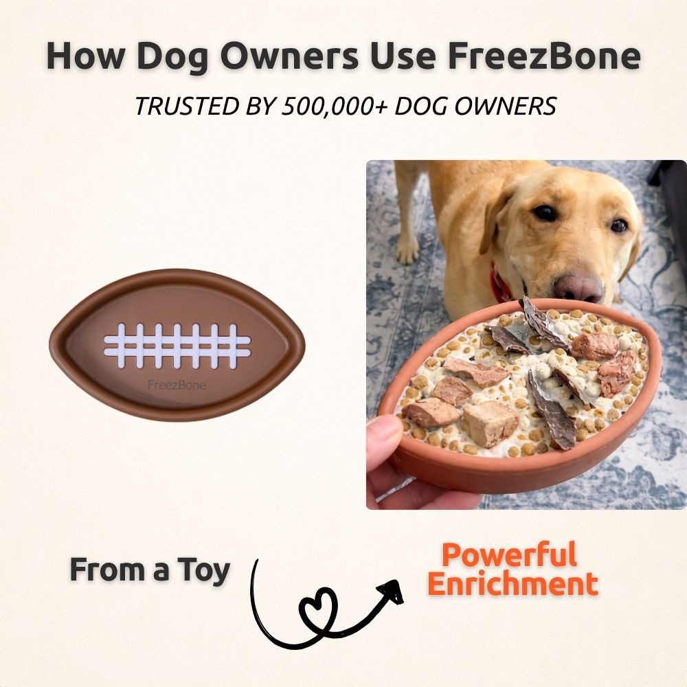 FreezFootball | Tough Enrichment Football Toy