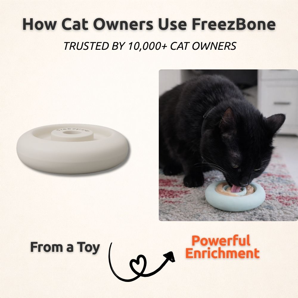 FreezRing Cat Zen Relief Toy