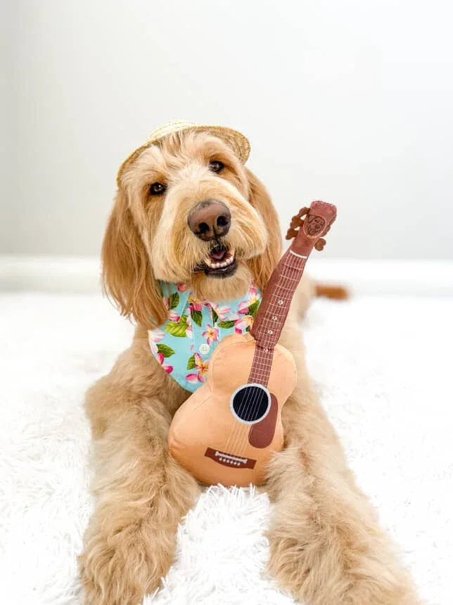 Acoustic Guitar Squeaky Crinkle Dog Toy 2 - MiniPaw Luxe
