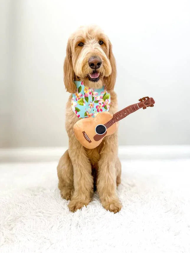 Acoustic Guitar Squeaky Crinkle Dog Toy 8 - MiniPaw Luxe