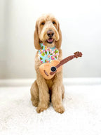 Acoustic Guitar Squeaky Crinkle Dog Toy 8 - MiniPaw Luxe