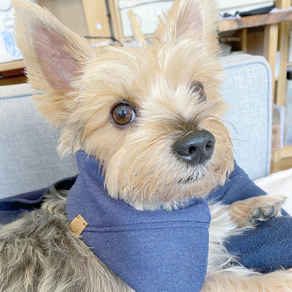 'Aiden' Reversible Pet Bandana 4 - MiniPaw Luxe