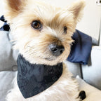 'Andy' Reversible Pet Bandana 4 - MiniPaw Luxe