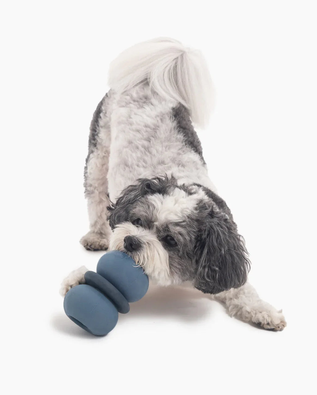 Armadillo™ 9 - MiniPaw Luxe