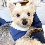 'Aspen' Reversible Pet Bandana 4 - MiniPaw Luxe