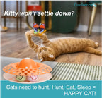 Automatic Butterfly Cat Toy with Catnip Ball Track 3 - MiniPaw Luxe