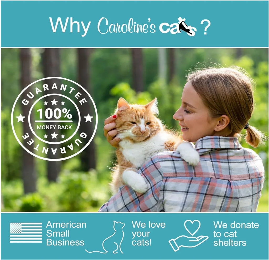 Automatic Butterfly Cat Toy with Catnip Ball Track 6 - MiniPaw Luxe