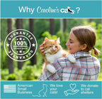 Automatic Butterfly Cat Toy with Catnip Ball Track 6 - MiniPaw Luxe