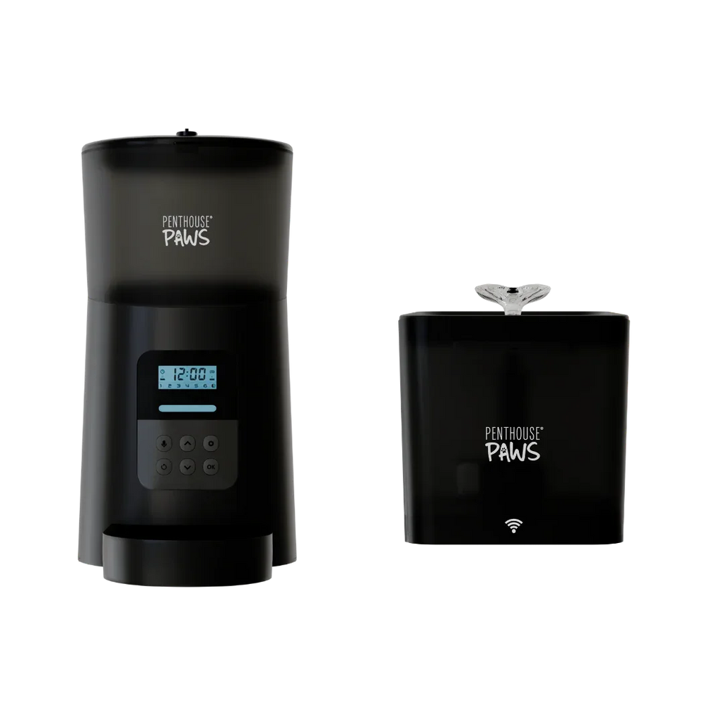 Automatic Cat Feeder & Smart Water Fountain 1 - MiniPaw Luxe