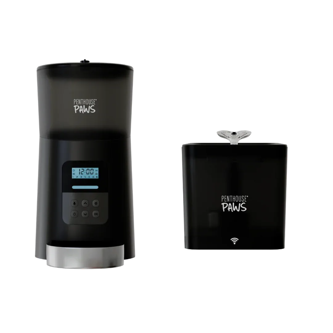 Automatic Cat Feeder & Smart Water Fountain 2 - MiniPaw Luxe