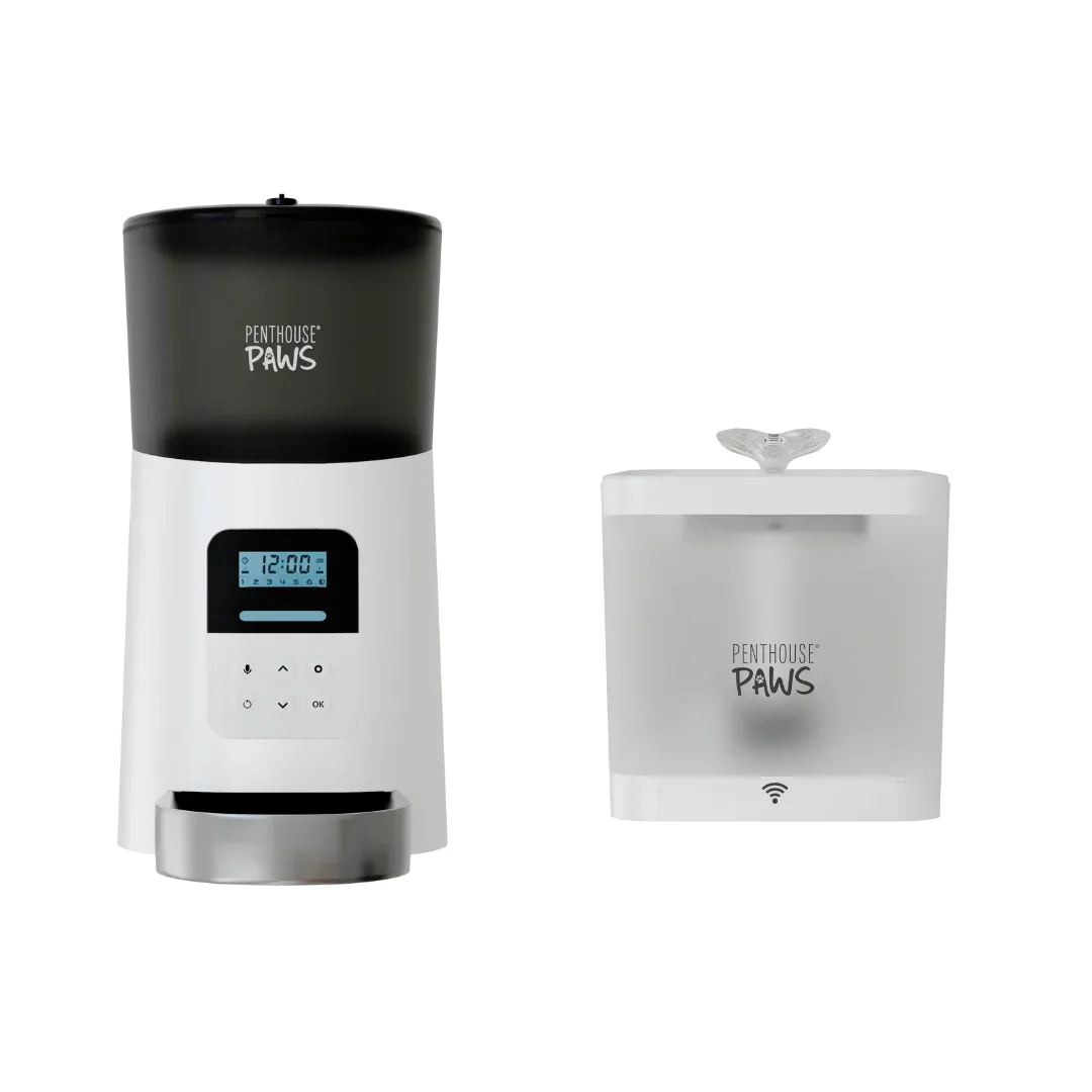 Automatic Cat Feeder & Smart Water Fountain 4 - MiniPaw Luxe