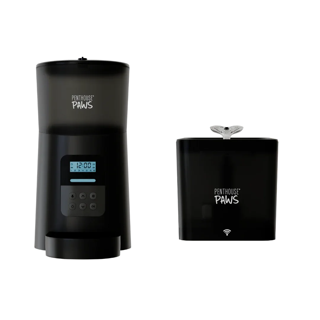 Automatic Cat Feeder & Smart Water Fountain 5 - MiniPaw Luxe