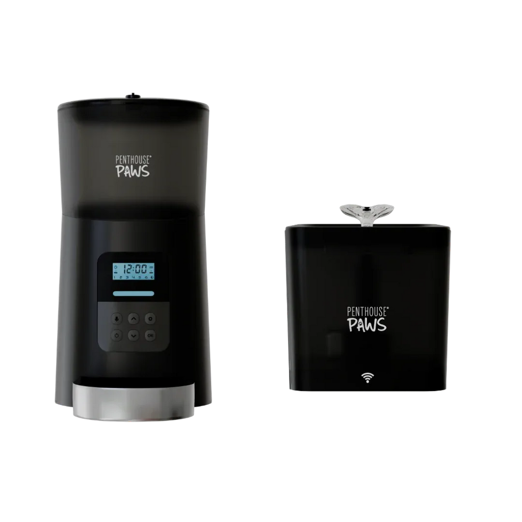 Automatic Cat Feeder & Smart Water Fountain 6 - MiniPaw Luxe