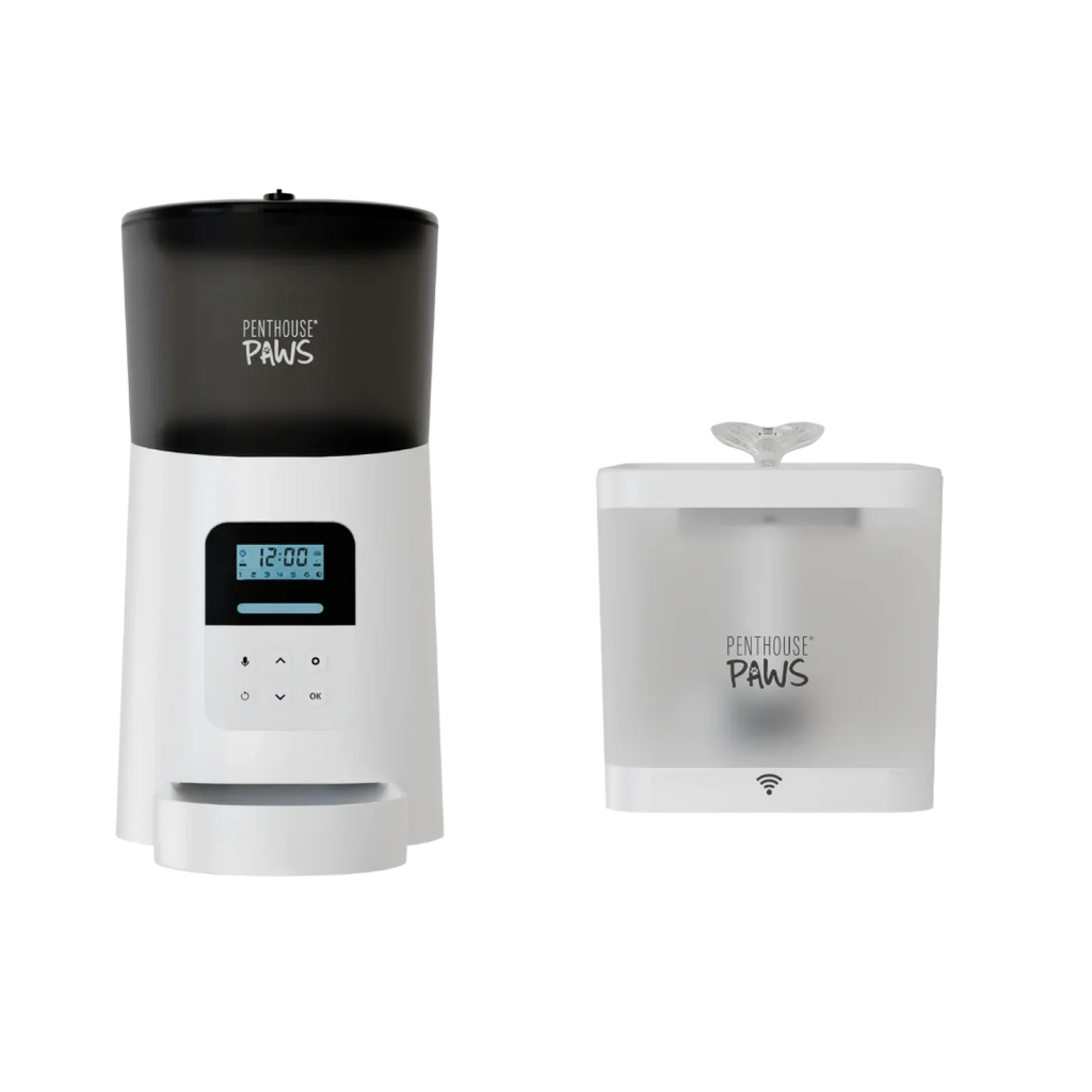 Automatic Cat Feeder & Smart Water Fountain 7 - MiniPaw Luxe