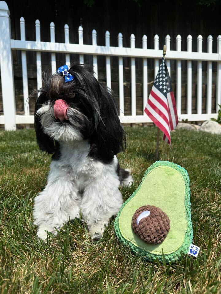 Avocado 6 - MiniPaw Luxe