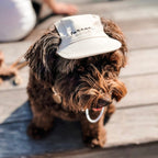 Fur Elise Furever Pet Hat