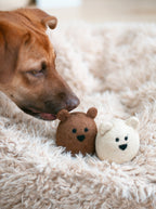 BROWN BEAR Wool Dog Toy