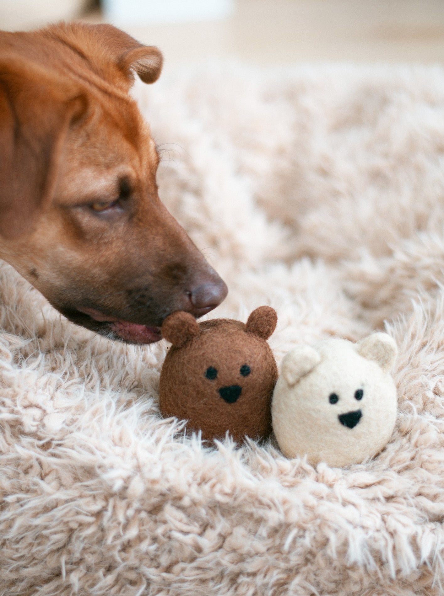 BROWN BEAR Wool Dog Toy