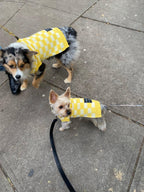 BP x BH Check Sweater Vest 4 - MiniPaw Luxe