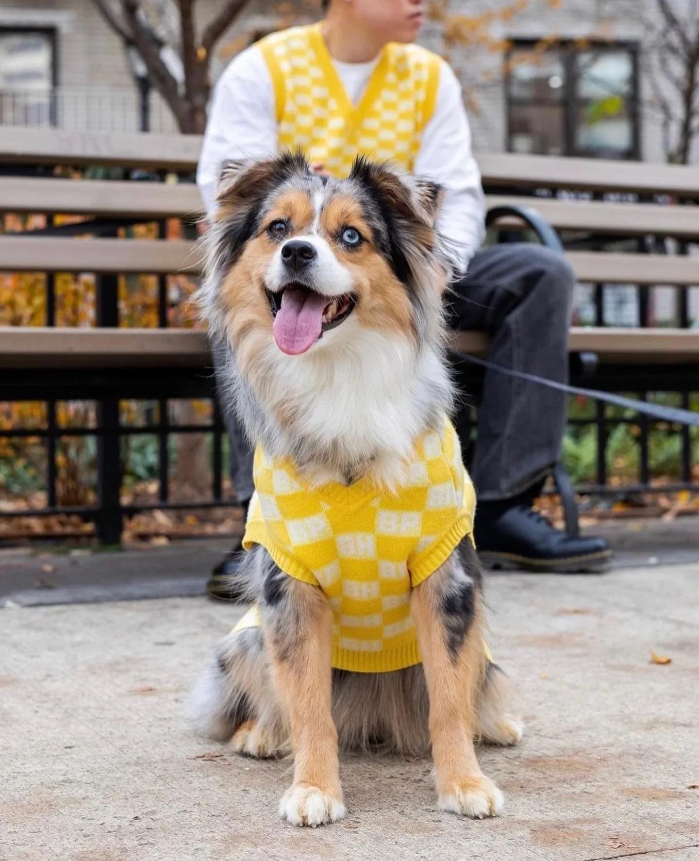 BP x BH Check Sweater Vest 6 - MiniPaw Luxe
