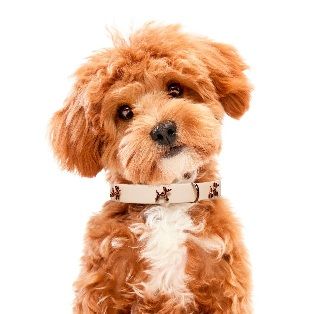 Ballon Beige Premium Dog Collar 2 - MiniPaw Luxe