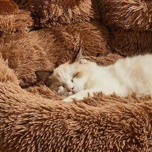 Big Paw Plush Pet Sofa Bed 2 - MiniPaw Luxe