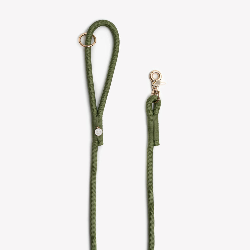 Braided Rope Leash | Green 2 - MiniPaw Luxe