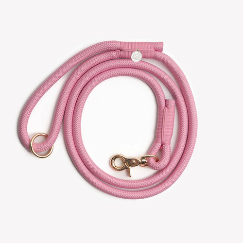 Braided Rope Leash | Pink 1 - MiniPaw Luxe