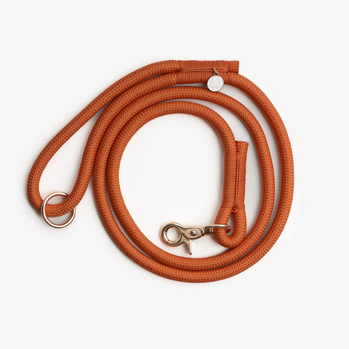 Braided Rope Leash | Terracotta 1 - MiniPaw Luxe