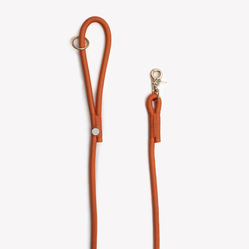 Braided Rope Leash | Terracotta 2 - MiniPaw Luxe
