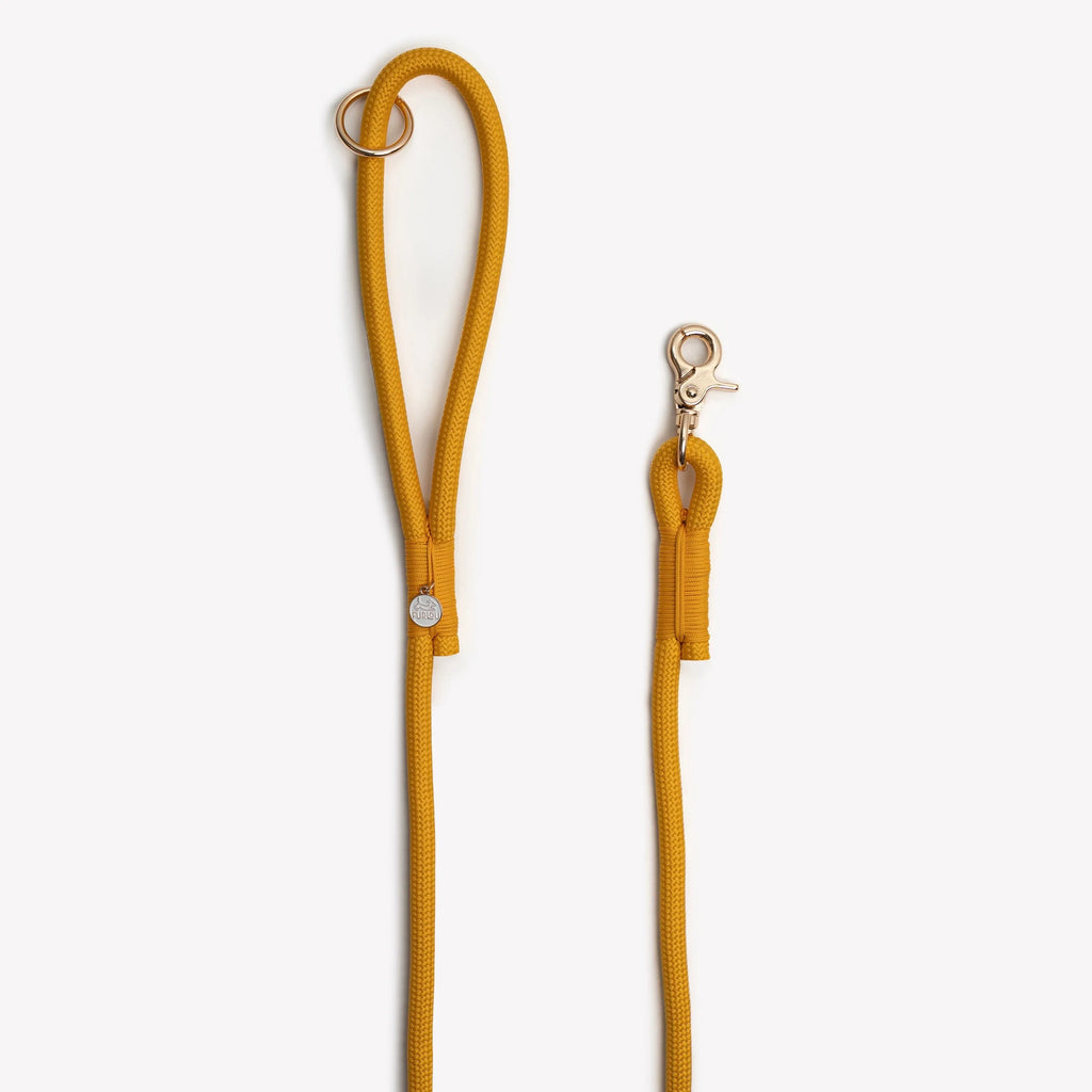 Braided Rope Leash | Yellow 2 - MiniPaw Luxe