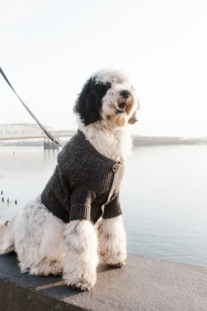 Brooklyn Cashmere Cardigan | Charcoal 4 - MiniPaw Luxe