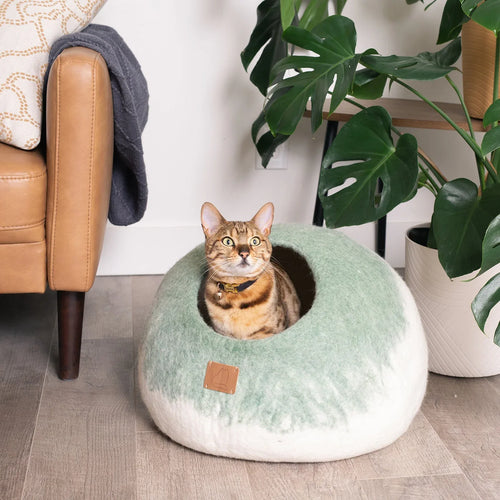 Burst Design | Round Style Cave 1 - MiniPaw Luxe
