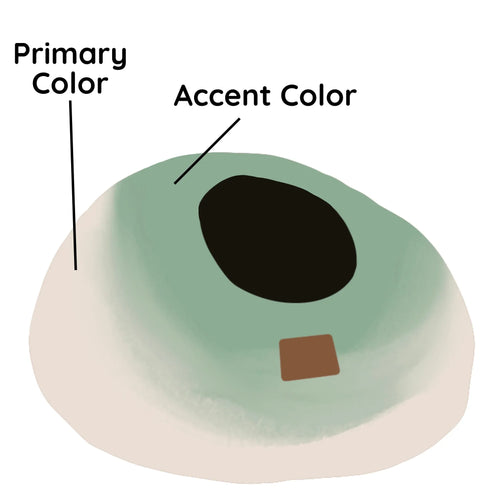 Burst Design | Round Style Cave 2 - MiniPaw Luxe