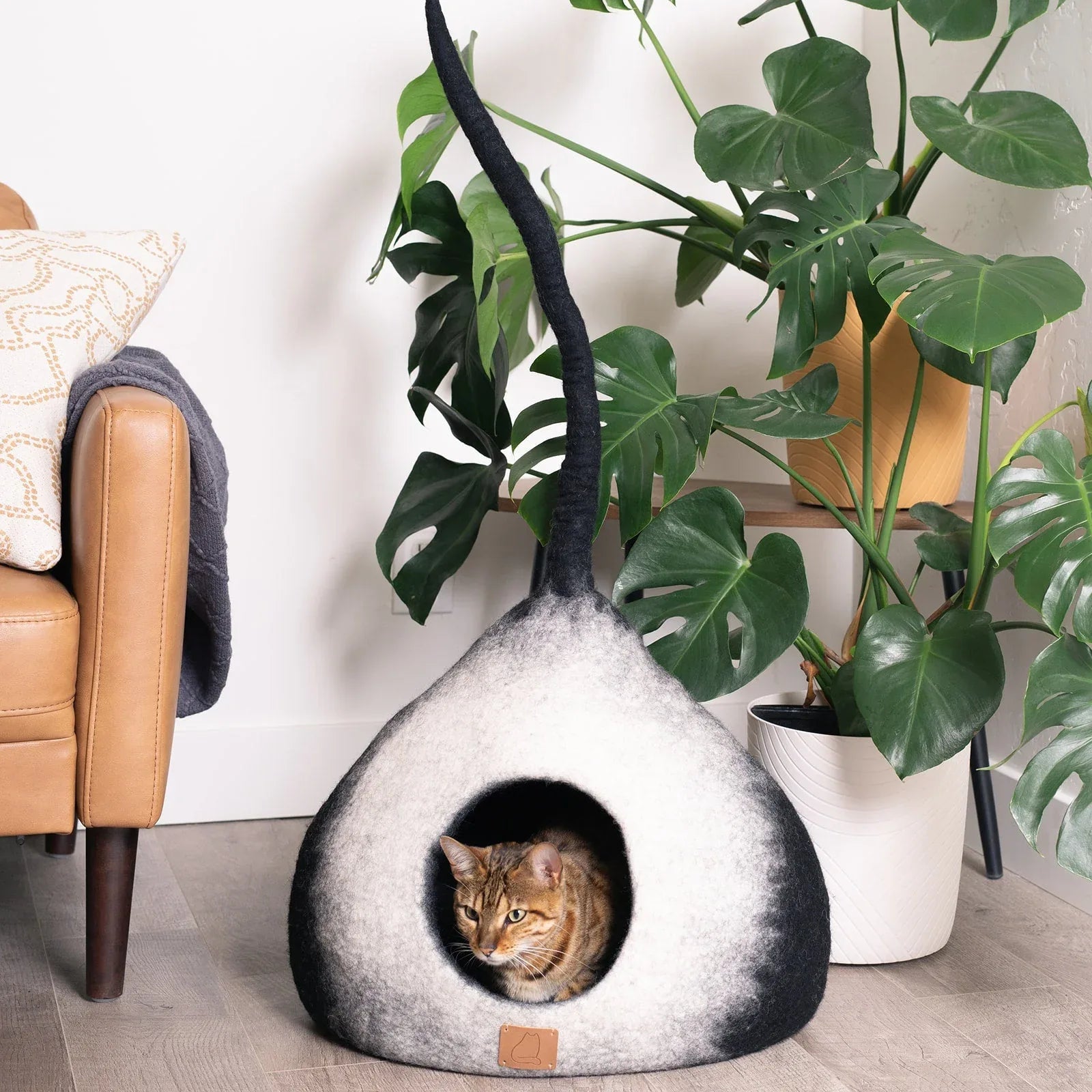 Burst Design | Tail Style Cave 1 - MiniPaw Luxe