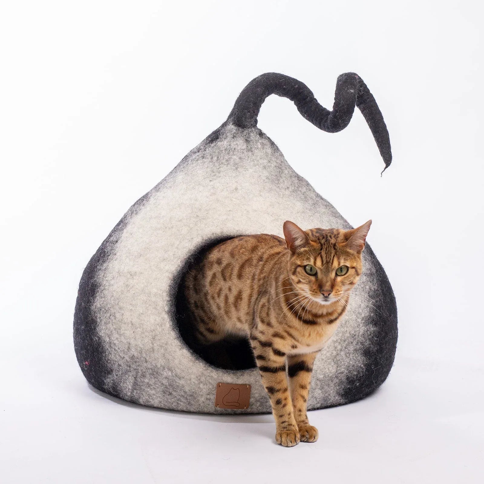 Burst Design | Tail Style Cave 5 - MiniPaw Luxe