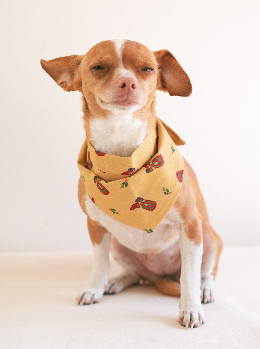 PLAID & WINTER BANDANAS