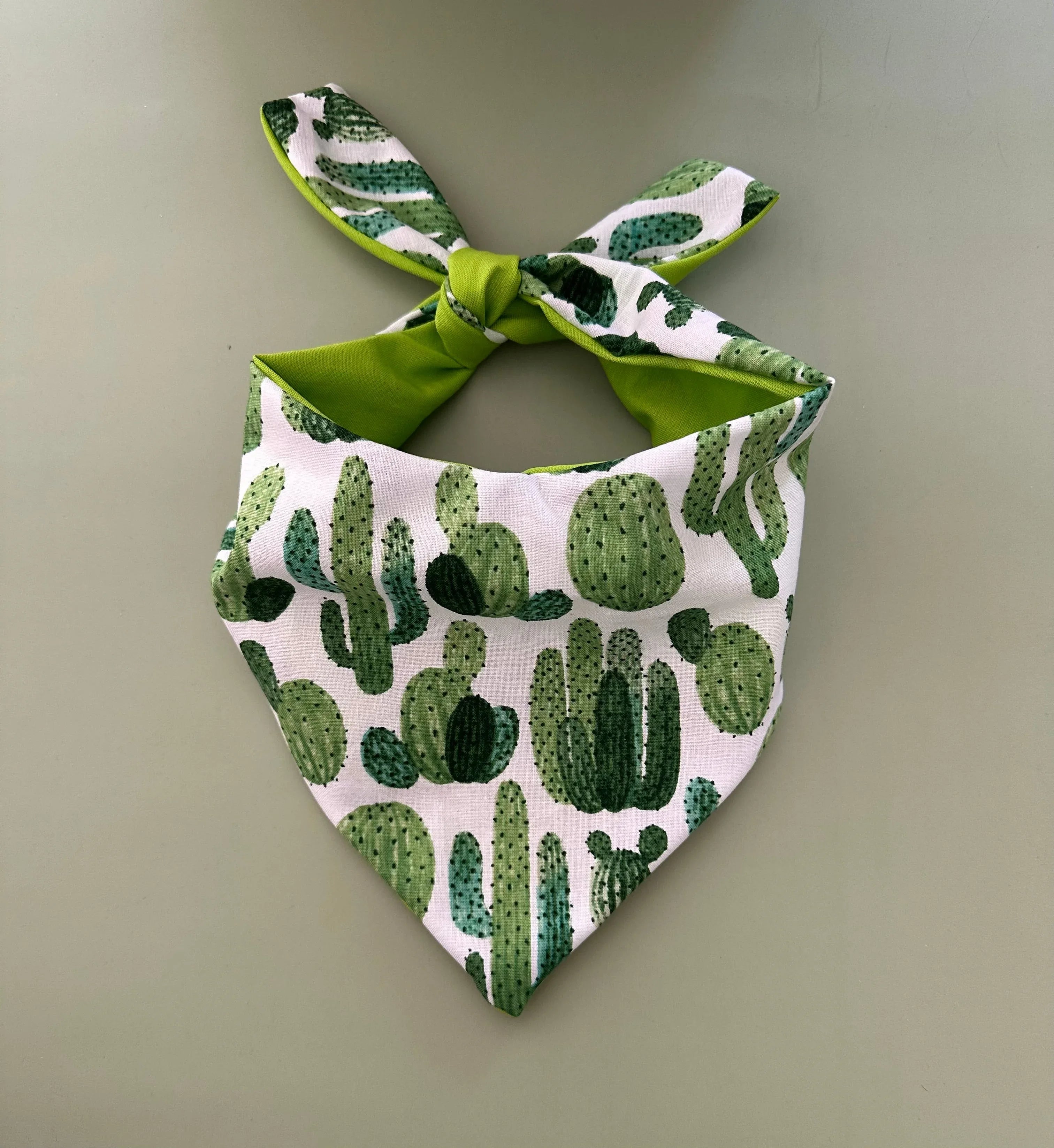 Cactus Dog Bandana 1 - MiniPaw Luxe
